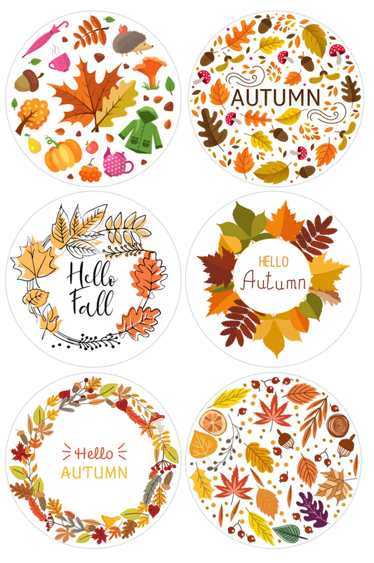 Set of 12 "Fall, Autumn mix" pre cut edible image discs for desserts, choose your size