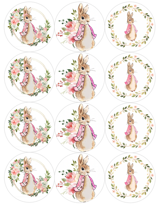 Set of 12 "Beatrix Potter Flopsy Rabbit" pre cut edible image discs for desserts, drink toppers, choose your size