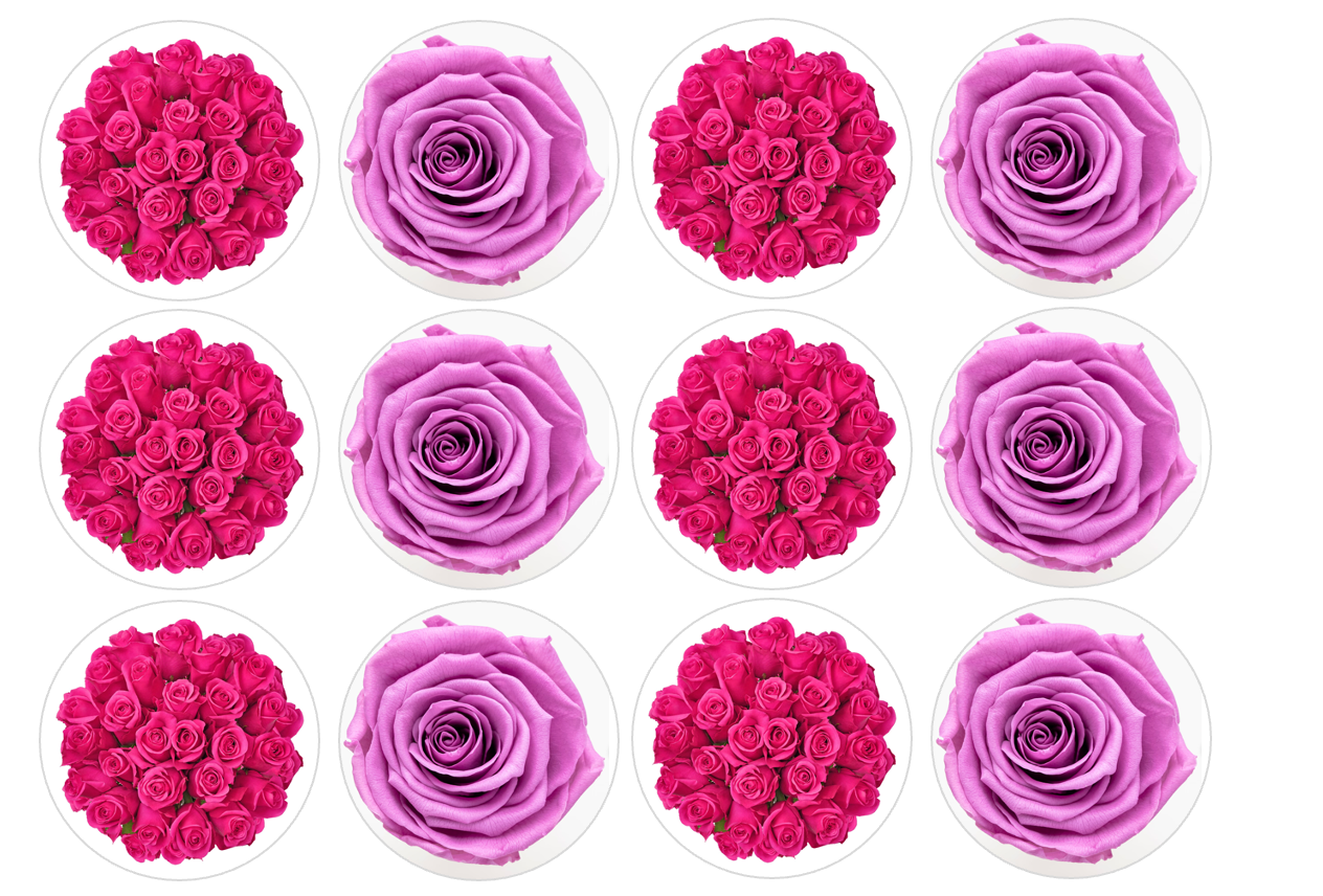 Set of 12 "Pink Roses" pre cut edible image discs for desserts, drink toppers, choose your size