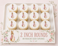 Set of 12 "Beatrix Potter, Peter Rabbit" pre cut edible image discs for desserts, choose your size