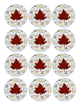 Set of 12 "Fall Autumn Leaves" pre cut edible image discs for desserts, drink toppers, choose your size