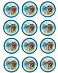 Set of 12 "Moana" pre cut edible image discs for desserts, drink toppers, choose your size