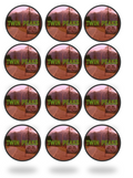 Set of 12 "Twin Peaks show" pre cut edible image discs for desserts, drink toppers, choose your size