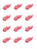 Set of 12 "Detroit Red Wings Hockey" pre cut edible image discs for desserts, drink toppers, choose your size
