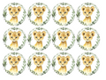 Set of 12 "Baby Lion" pre cut edible image discs for desserts, drink toppers, choose your size