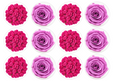 Set of 12 "Pink Roses" pre cut edible image discs for desserts, drink toppers, choose your size