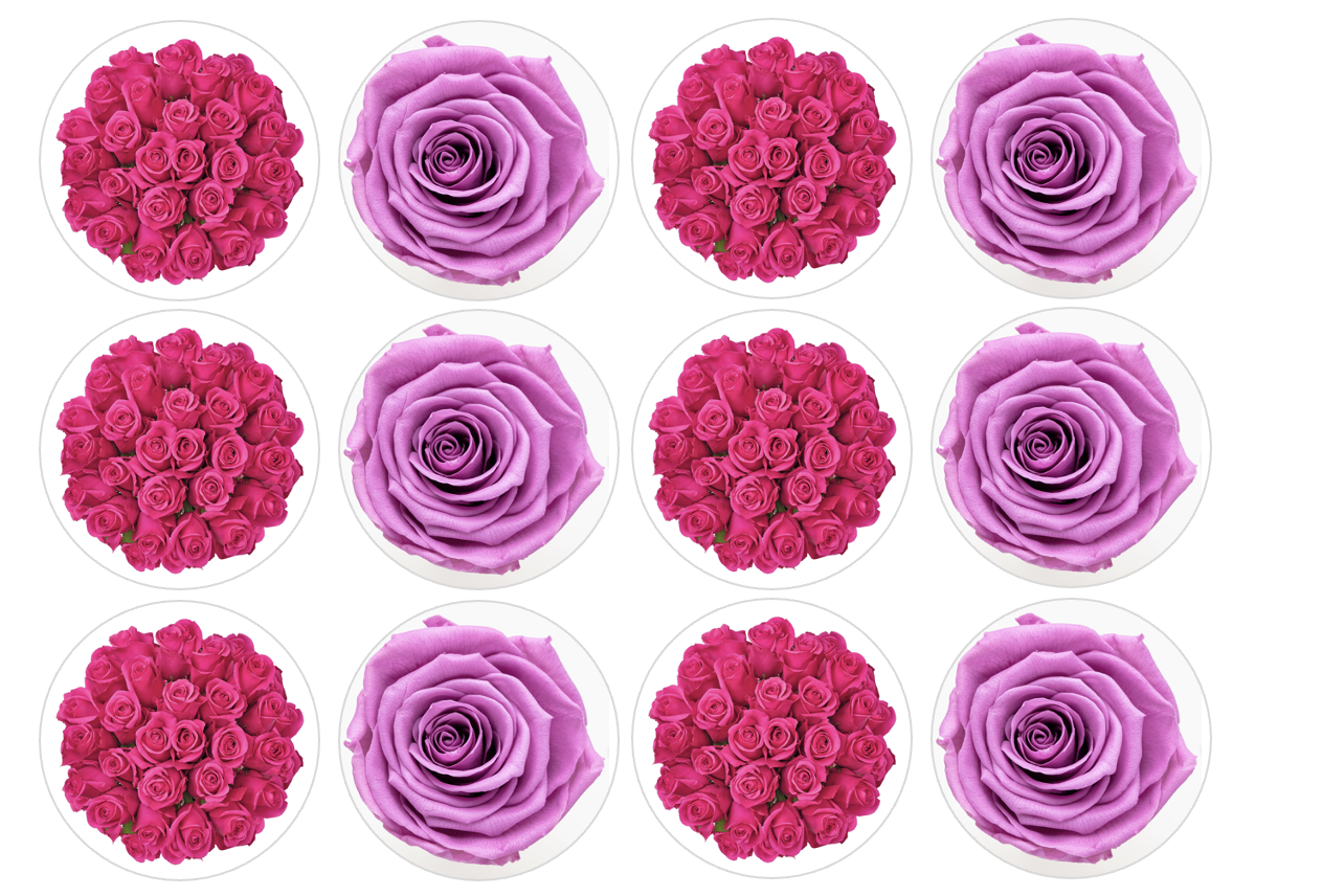 Set of 12 "Pink Roses" pre cut edible image discs for desserts, drink toppers, choose your size