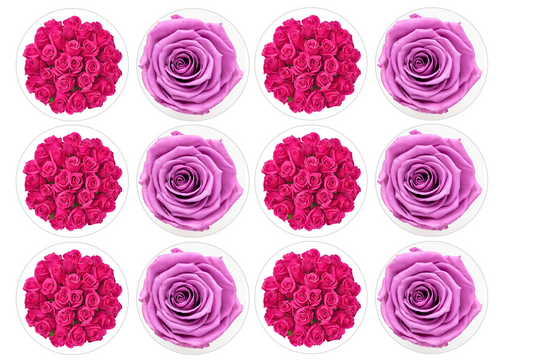 Set of 12 "Pink Roses" pre cut edible image discs for desserts, drink toppers, choose your size