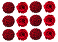 Set of 12 "Red Roses" pre cut edible image discs for desserts, drink toppers, choose your size