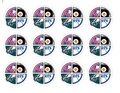 Set of 12 "Philadelphia Sports" pre cut edible image discs for desserts, choose your size