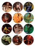 Set of 12 Taylor Swift "Life of a Showgirl" pre cut edible image discs for desserts, choose your size