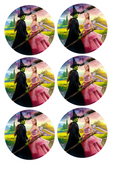 Set of 12 "Wicked, Wizard of Oz" pre cut edible image discs for desserts, choose your size