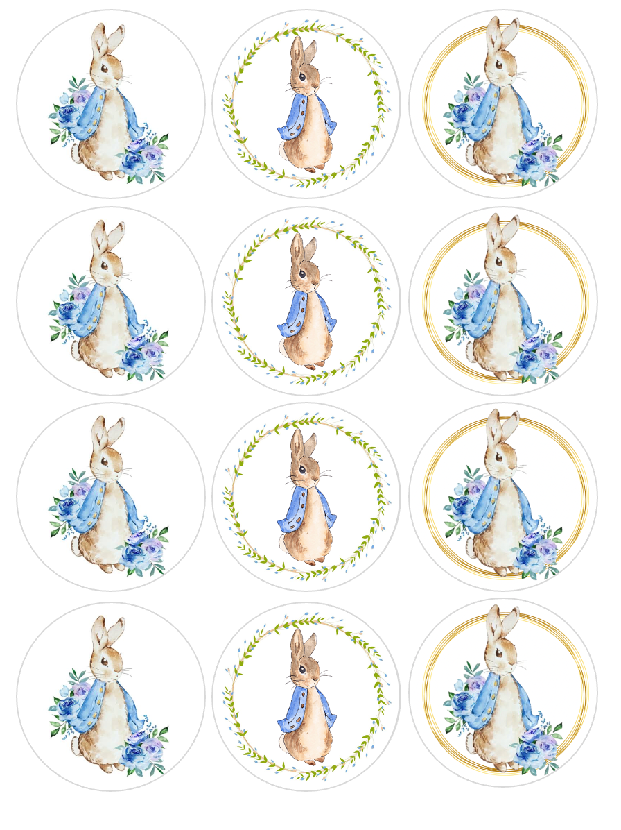 Set of 12 "Peter Rabbit" pre cut edible image discs for desserts, choose your size