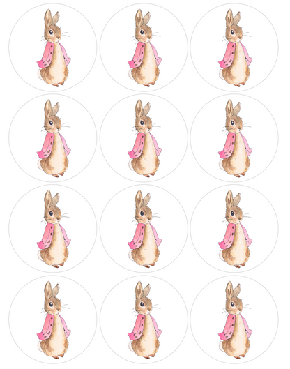 Set of 12 "Beatrix Potter, Peter Rabbit" pre cut edible image discs for desserts, choose your size
