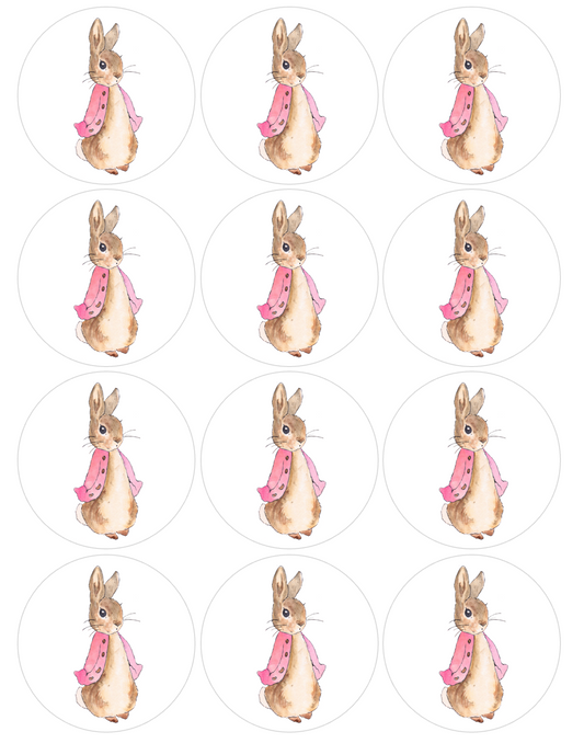 Set of 12 "Beatrix Potter, Peter Rabbit" pre cut edible image discs for desserts, choose your size