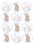 Set of 12 edible image rounds, cute easter bunnies , pre cut, many sizes available