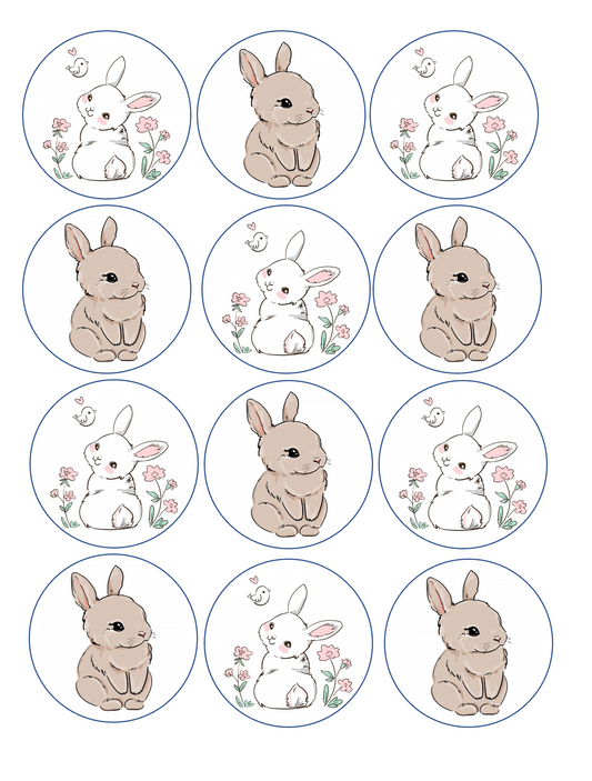 Set of 12 edible image rounds, cute easter bunnies , pre cut, many sizes available