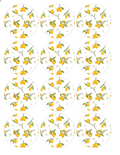 Set of 12 "Italian Lemons" pre cut edible image discs for desserts, choose your size