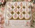 Set of 12 "Peter Rabbit, Beatrix Potter, Flopsy" pre cut edible image discs for desserts, choose your size