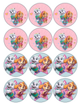 Set of 12 "Paw Patrol" pre cut edible image discs for desserts, drink toppers, choose your size