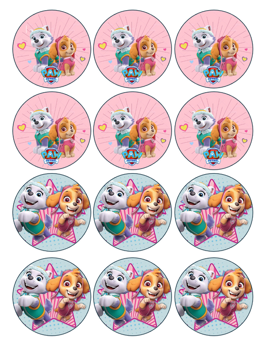 Set of 12 "Paw Patrol" pre cut edible image discs for desserts, drink toppers, choose your size