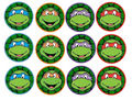Set of 12 TMNT edible images for desserts, drink toppers, pre cut, many sizes available