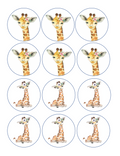 Set of 12 edible images for desserts, drink toppers, pre cut, many sizes available-baby giraffe, baby shower